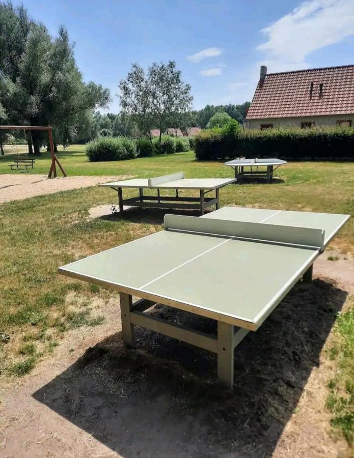 7 Person House With Garden, Firepit, Swimming Lake, Hammock, Child Friendly, In- And Outside Playground, Slide, And Great Coffee Ewijk Exteriör bild